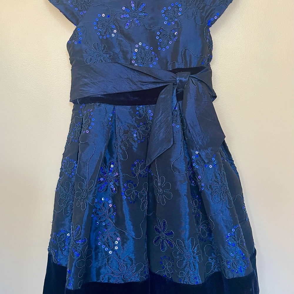 Sweet heart rose Blue special occasion dress.
